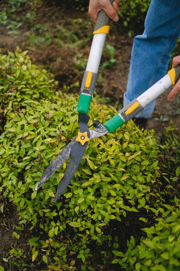 servicio de jardineria